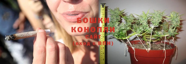 дурь Костерёво