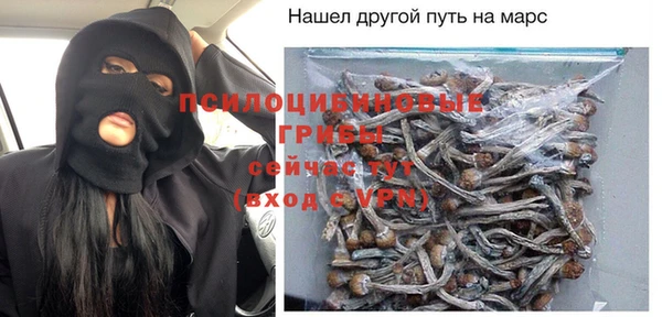 дурь Костерёво