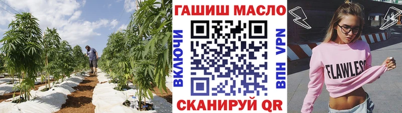 Купить закладки  Темников  Дистиллят ТГК жижа 