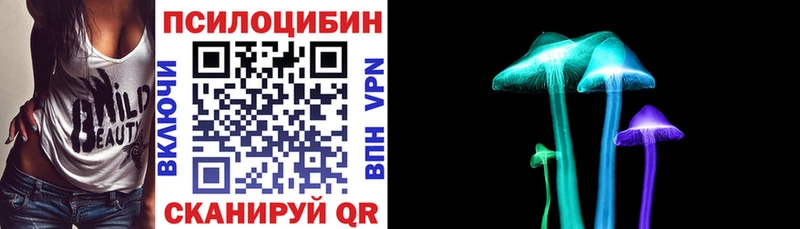 Галлюциногенные грибы мицелий  Купить где  Темников 